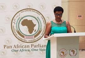 A path to a legislative body? Pan African Parliament Welcomes Africa S Response To Covid 19