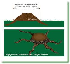 For stump grinding, the average price range is from $75 to $400 per stump. Tree Stump Removal Grinding Pricing Guide Denver Colorado And All Suburbs