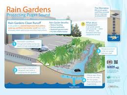 Graphic Garden Illustration Garden Home Image Area Rain Garden Garden Illustration Benefits Of Gardening