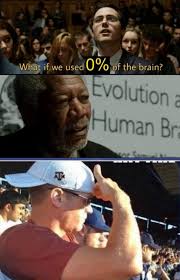 The brain is the part of the body which lets animals make sense of things. When You Use 100 Of Your Brain Meme Chameleon Memes