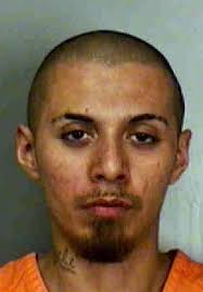 Seven Arrested for Gang Recruitment or Dog Baiting