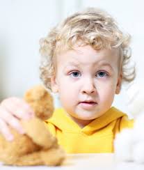 Regelmäßige Neuigkeiten für alle Mitglieder der WBG „Stadt Bad Berka“ eG  Fotowettbewerb Seite 9 Rückblick 2012 und Vorsc