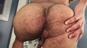 Brazilian's Hairy Ass - ThisVid.com