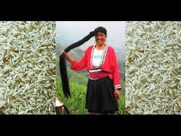 Cinli Kadinlarin Sirri Hizli Sac Uzatma Pirinc Suyuyla Sac Bakimi Youtube Sac Uzatma Sac Sac Bakimi