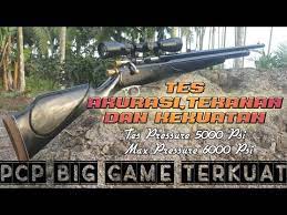Senapan angin pcp terbaik untuk berburu hama babi, biawak, tikus dan spesialis big game senapan angin pcp broly. New Pcp 6000 Psi Akurasi Terbaik Jozzzz Kirim Kirim Kirim