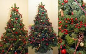 Aranjamentul kingai este deosebit nimic de zis.doar ca. Aranjament Brad De Craciun La 620 Lei Floraria Mobila