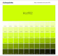 We did not find results for: Hex Color Code Ccff02 Fluorescent Yellow Color Information Hsl Rgb Pantone