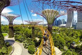 Apa Yang Anda Lihat Dan Apakah Di Gardens Singapura Oleh Bay