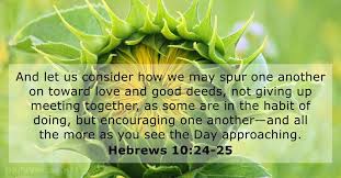 Maybe you would like to learn more about one of these? 15 Bible Verses About Equipment Dailyverses Net