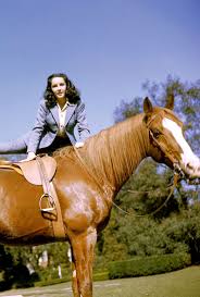 Pin By Maryschild On Favorite Actors Actresses Horse And Human Elizabeth Taylor Animals Beautiful
