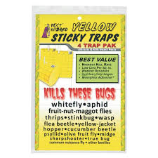 In lab studies, even 99 percent concentrations of alcohol only i hear all the time about bed bugs crawling right over vaseline, carpet tape, and other adhesive traps like glue boards. Pest Wizard Large Yellow Sticky Traps