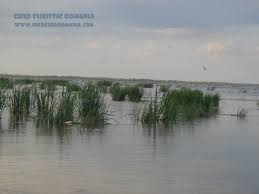 Maybe you would like to learn more about one of these? Informatii Delta Dunarii Ghid Turistic Romania