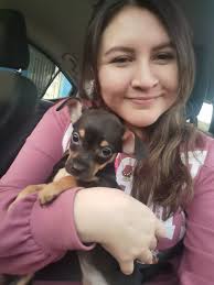 Availability for Hastings sunrise and other areas