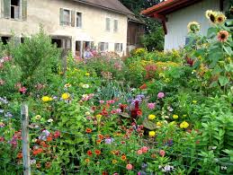 Allgauer Bauerngarten Im Fruhherbst Bauerngarten Garten Gartenpflanzen