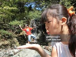 47,877 Aoki Stock Photos, High-Res Pictures, and Images