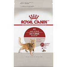 Pin On Cats Lover
