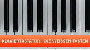 So beschriftest du einige noten auf der klaviertastatur Klavier Lernen Fur Anfanger Klaviatur Die Weissen Tasten Youtube
