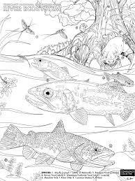 Make a coloring book with mountain meadow for one click. Education Bri Dostie
