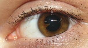The Soul Is Bone Food For Eyes Eye Health Eyes
