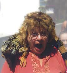 Sharon Kay Lacy Cech