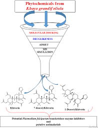 Image result for Khaya grandifoliola
