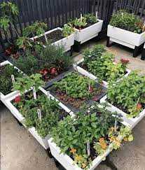 It's so easy that you don't even need soil to place it on; 26 Easy Diy Ideas For Creating An Urban Garden