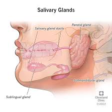 Image result for Sialolithiasis