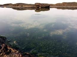 Murud Janjira Beach - Guide to glorious ...