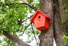 Bird houses and birdfeeders also make great gifts. Https Www Cappersfarmer Com Do It Yourself Projects Build Classic Birdhouse Ze0z1701zfis