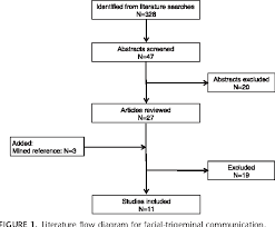 Communications Between The Trigeminal Nerve And The Facial