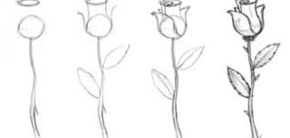 كيف أتعلم الرسم للمبتدئين drawings flower drawing roses drawing