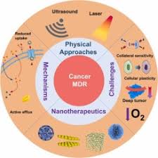 Image result for Multidrug Resistance Score