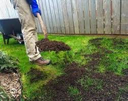 Levelling A Shallow Lawn By Spreading Topsoil Lawn Care Lawn Repair Lawn Care Tips