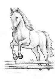 Risultato Immagini Per Disegni A Matita Cavalli Disegni Di Cavalli Disegni Da Colorare Disegno Di Cavallo