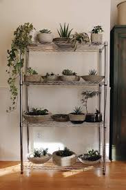 We did not find results for: Grow Succulents In A Bowl Using Glass Ceramic Or Concrete Containers Home For The Harvest