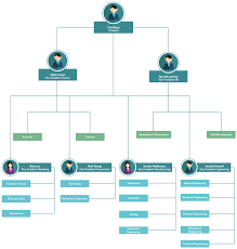 Org Chart With Pictures To Easily Visualize Your