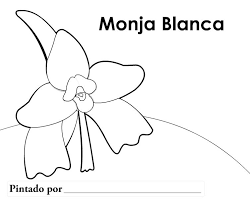 La monja blanca es una orquídea epifita de la familia lycaste virginales alba y. Pin En Mes Patrio