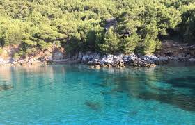Maybe you would like to learn more about one of these? Kuciste Peljesac Priroda I Izletista