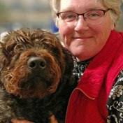 Bowe Family Obituaries