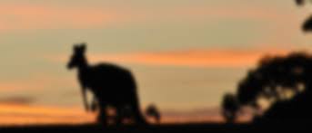 Ia juga terkenal sebagai destinasi romantik bagi pasangan yang. Pakej Percutian Ke Australia 2021 2022 Murah Best Tripfez Travel