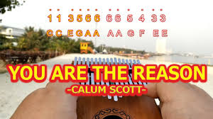 If i could turn back the clock i'd make sure the light defeated the dark i'd spend every hour, of every day keeping you safe. You Are The Reason By Calum Scott Kalimba Tabs Letter Number Notes Tutorial Kalimbatabs Net