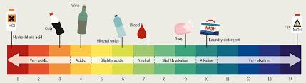 Which Is The Strongest Acid What Are Strong Acids