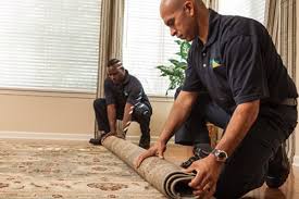Keep Your Savannah Ga Home Organized Savannah Ga