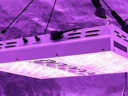 Maybe you would like to learn more about one of these? Best Led Light For 4x4 Grow Tent Complete Buyer S Guide