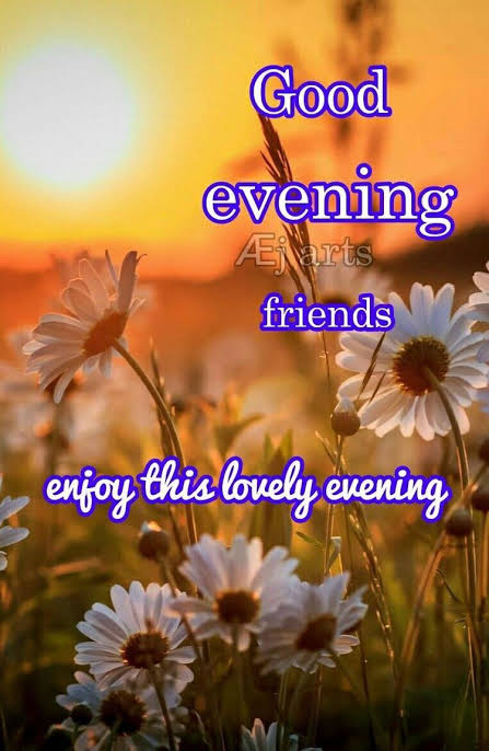 Image result for good evening"