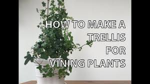 A garden trellis can bring beauty and functionality to your garden. Diy How To Make A Trellis For A Potted Plant With Just Two Materials Youtube