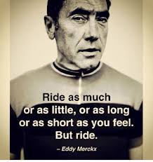 Eddy merckx quotes wise famous quotes sayings and quotations by eddy merckx. Ichi Go Ichi E No Ordinary Moments By Tom Mccallum Medium