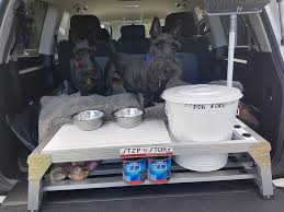 Check spelling or type a new query. Top Tips For Taking Your Pets On The Spirit Of Tasmania