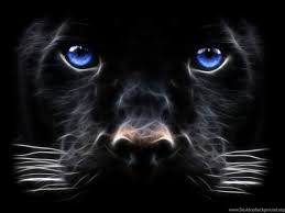 You can select images for computers, including laptops and other mobile devices such as tablets, smart phones and mobile phones, and even wallpapers for game consoles. World Best Wallpapers For Desktop Hd Wallpapers And Pictures Desktop Background