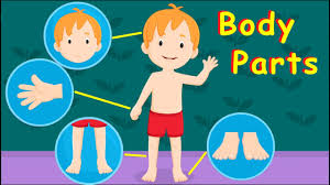 Fold the worksheet 3 times along the vertical lines. Body Parts For Children Song Parts Of The Body For Kids Educational Songs Youtube